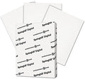 Cardstock Paper, White Paper, 90lb, 163gsm, 8.5 x 11, 92 Bright, 8 Reams / 2,000 Sheets - Index Card Stock, Thick Paper (015101C)