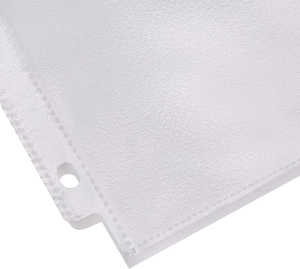 Basics Polypropylene (PP) Sheet Protector, Non-Glare, 200 Pack, Clear