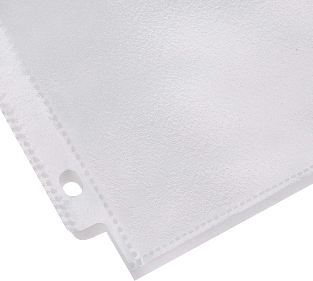 Basics Sheet Protector, Non-Glare, 100-Pack, 8.5 x 11, Clear
