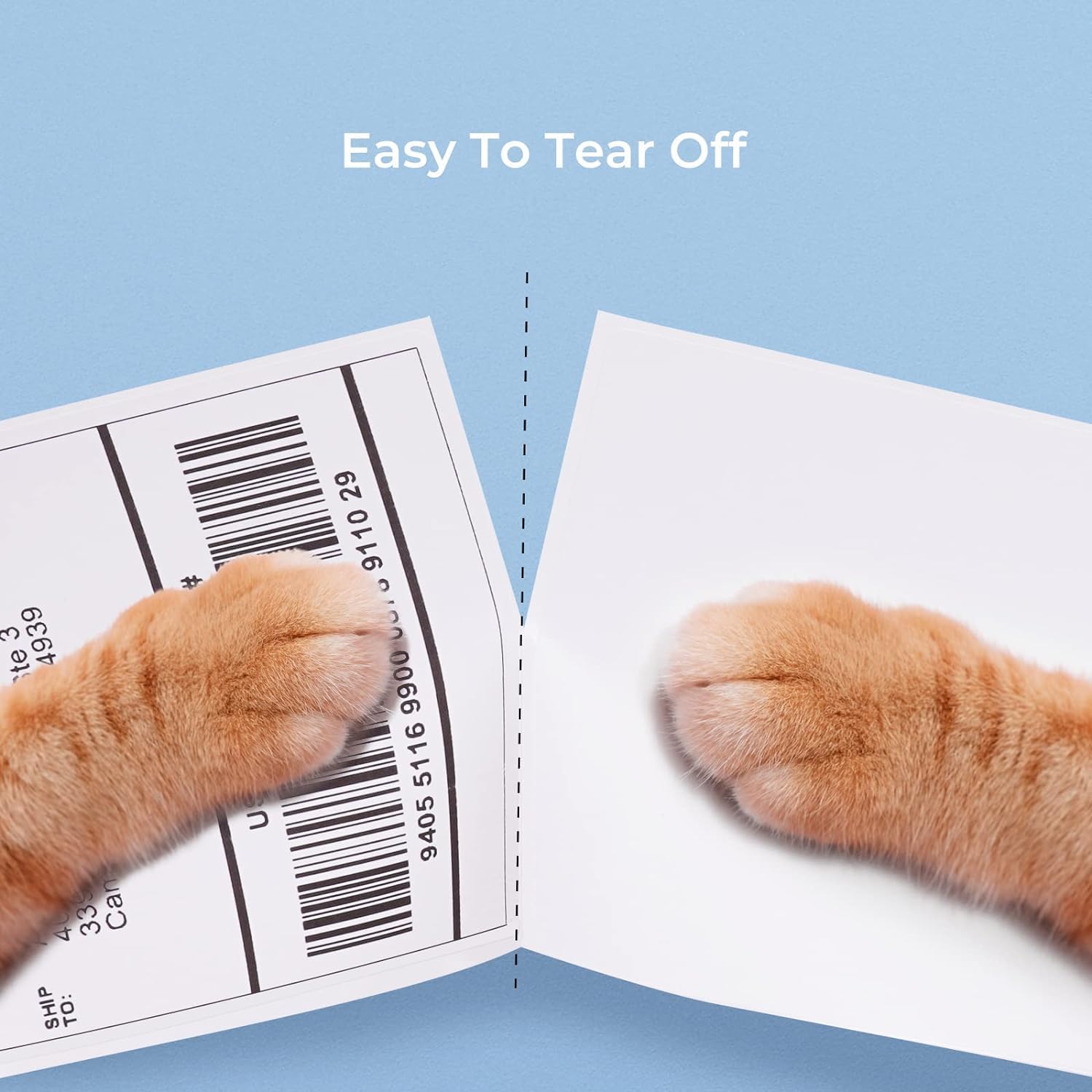 4x6 Inch Direct Thermal Labels, 6000 Sheets/12 Stacks