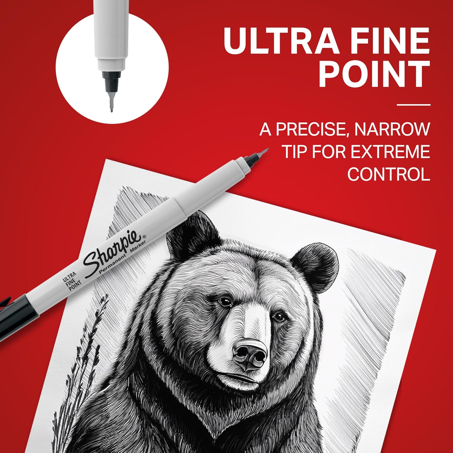 Permanent Markers, Ultra Fine Point, Black, 12 Count